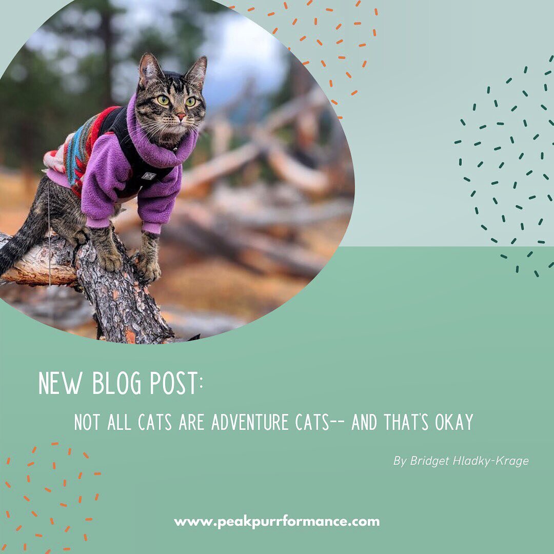 A new post is up on the blog! Read all about adventuring within your cat&rsquo;s comfort zone and respecting your cat&rsquo;s boundaries. Head to the link below to learn more! 😸

peakpurrformance.com/blog/not-all-cats-are-adventure-cats-and-thats-ok