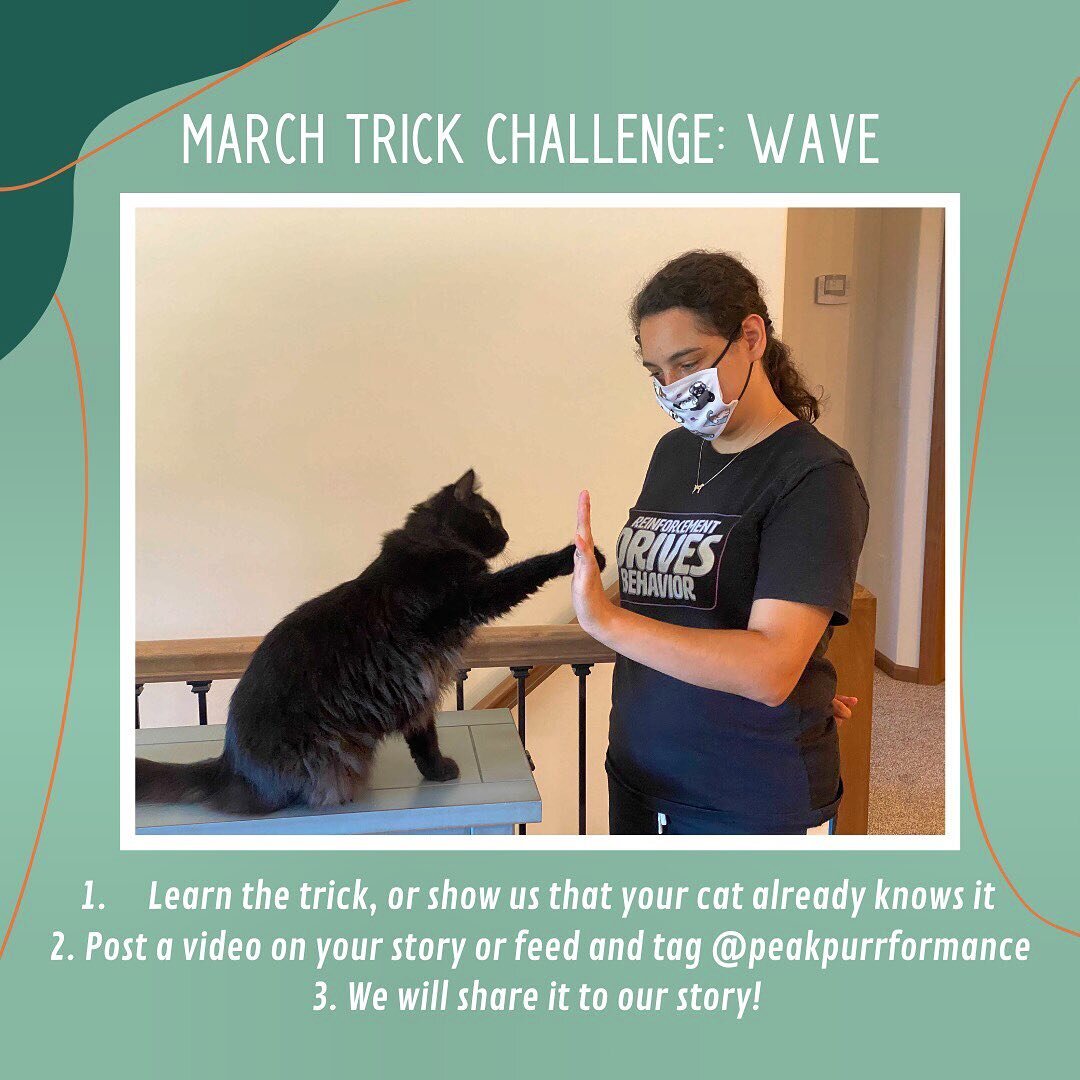 Start the week off strong by completing our March trick challenge! The March trick is &ldquo;wave&rdquo;. Once your cat knows the trick, take a video and post it to your feed or story and tag @peakpurrformance. Then we will share it to our story! ✨

