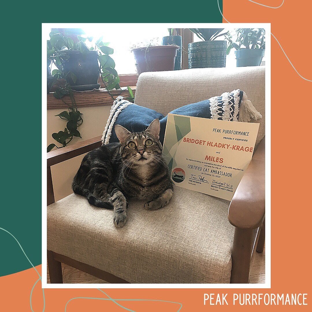 To anyone new to following us, welcome! Our goal at Peak Purrformance is to empower and inspire people to do more with their cats. We offer titles and certifications to give you a goal to work towards. Our titles include trick titles, hiking titles, 