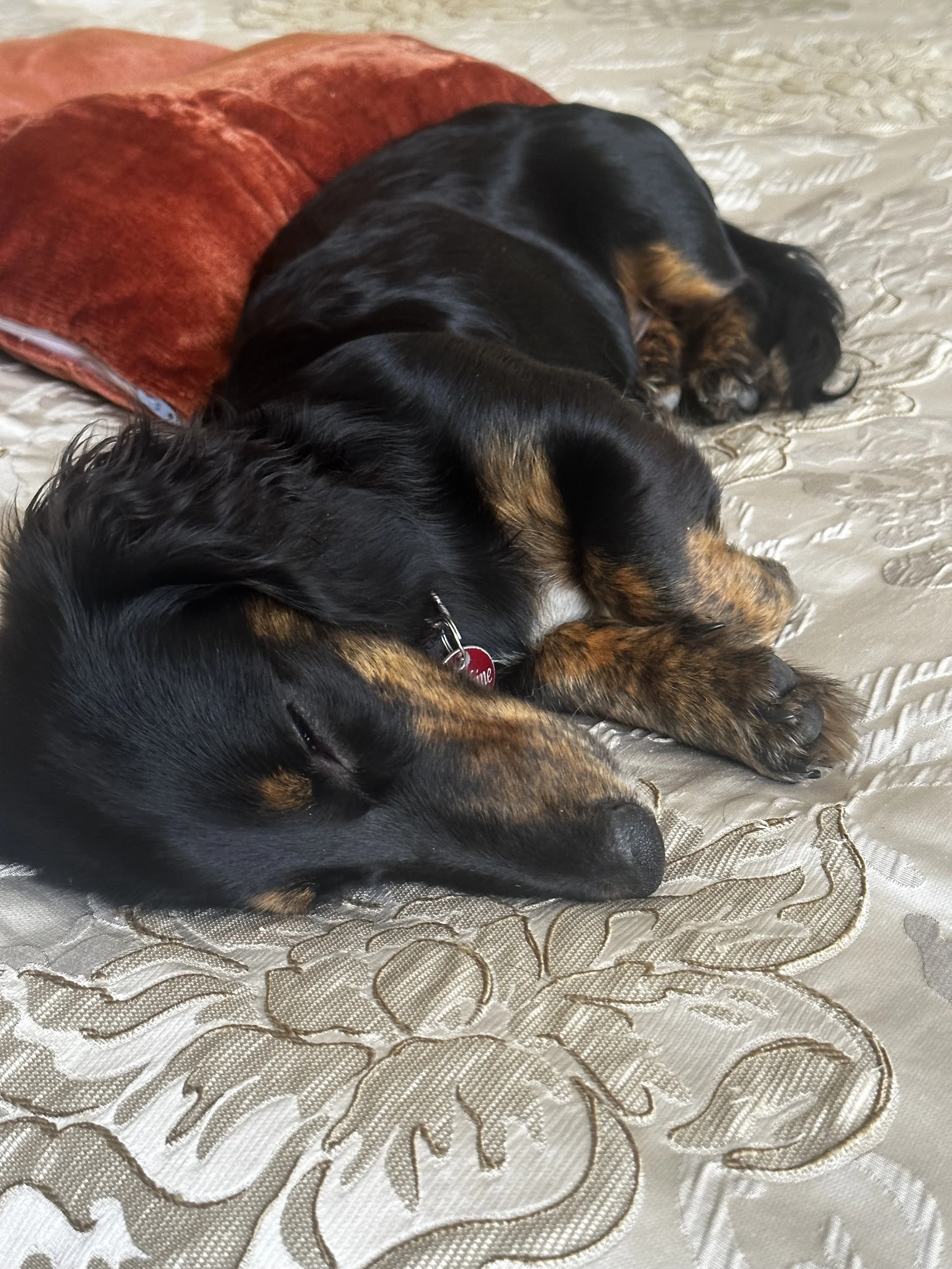 The wonders and woes of sleep