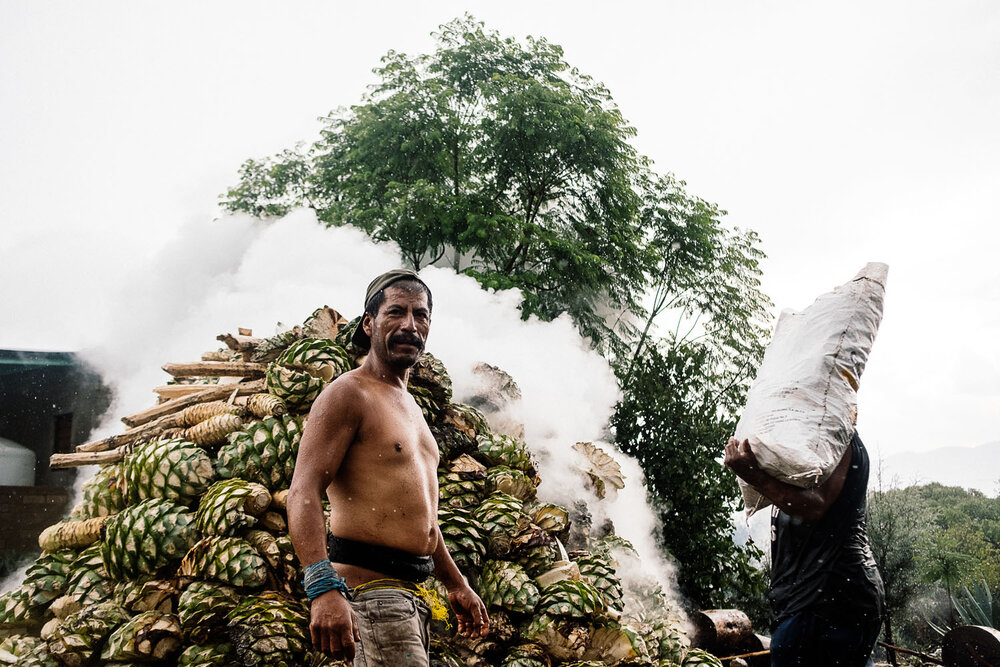 making mezcal-mexico.jpg