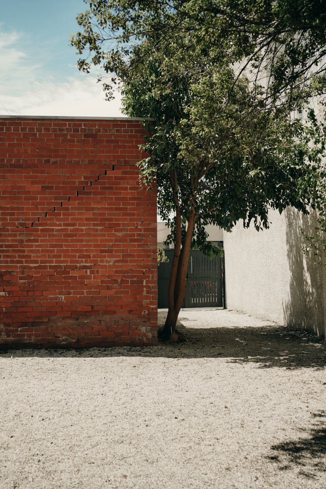 Gravel courtyard with tree behind Johnston Street Collingwood Airbnb