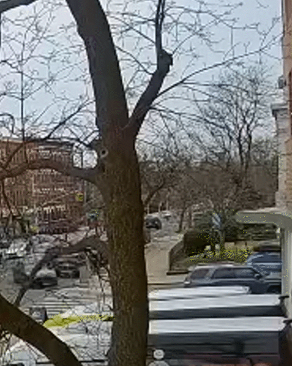 CarAccident-V1_0069.gif
