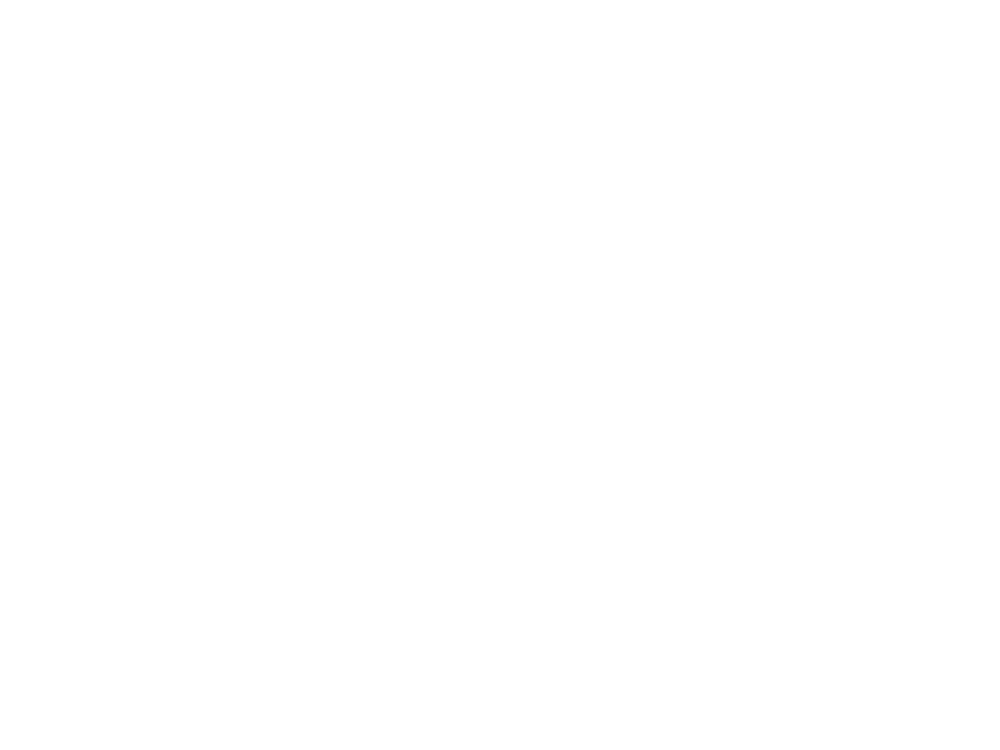Connect Leadership Consulting The Leneker Team