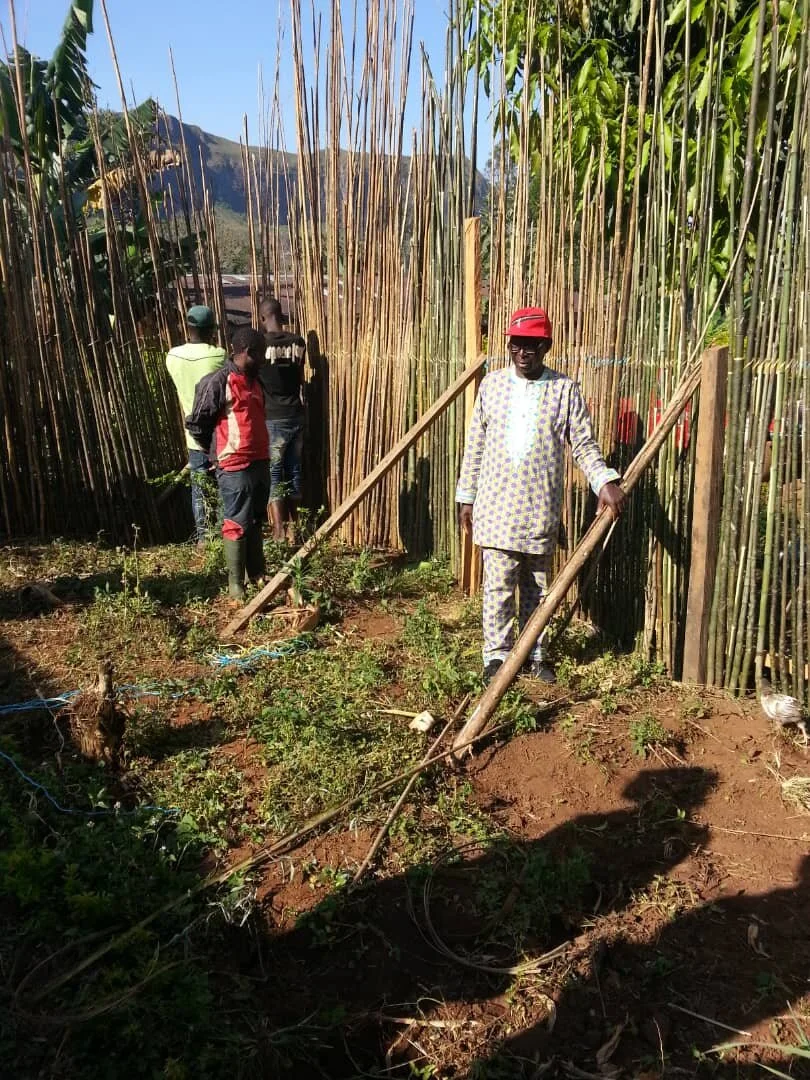 Building the Chicken Coop