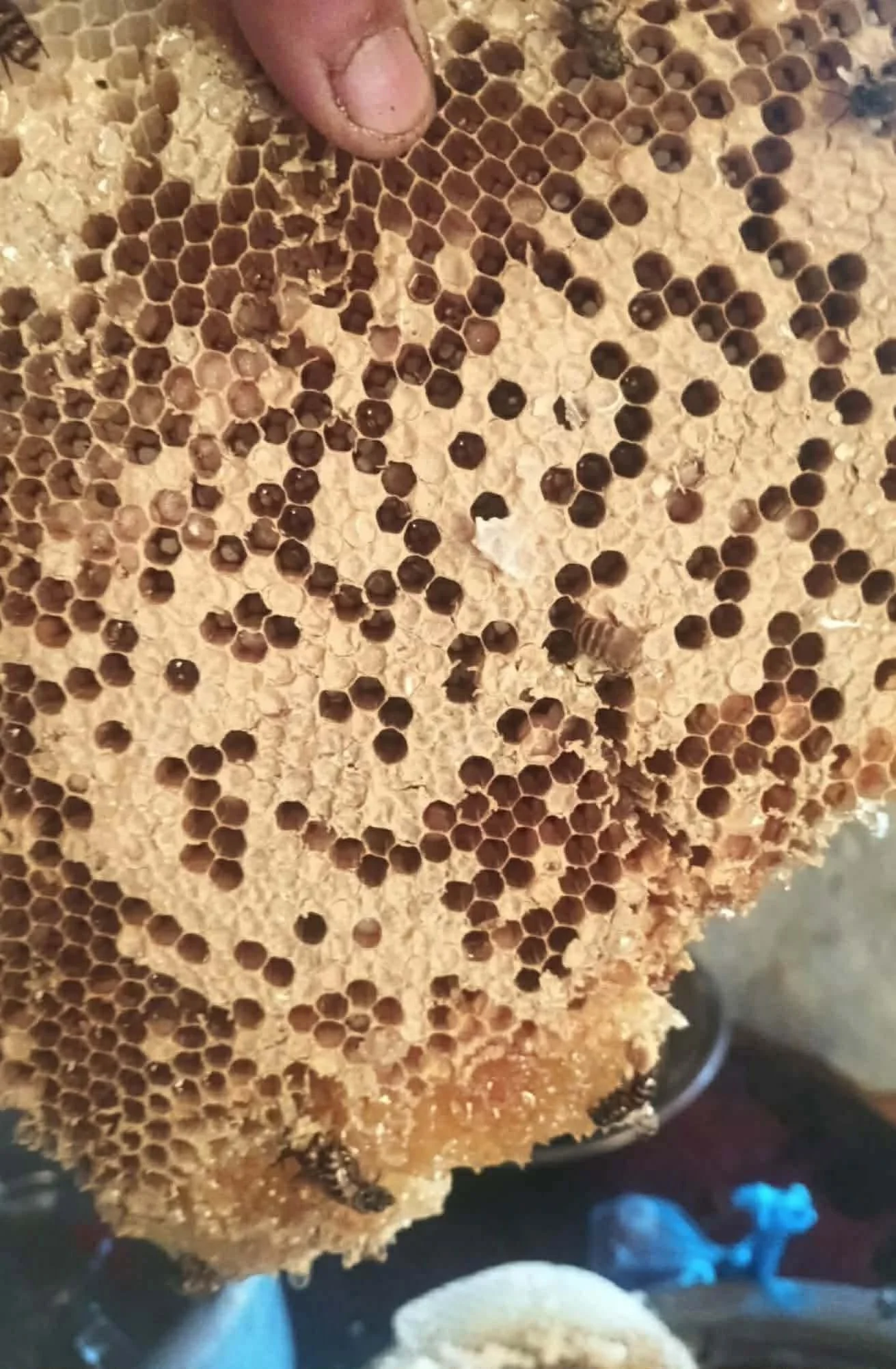 646378249_1295200515851658_2304493000047115334_n.jpg