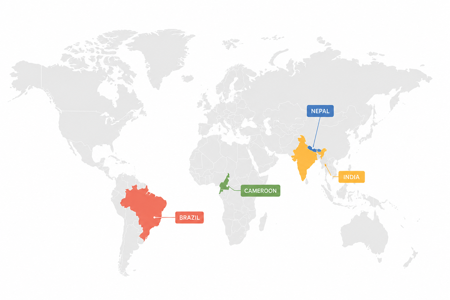 Consultancy Support for Charities and NGOs