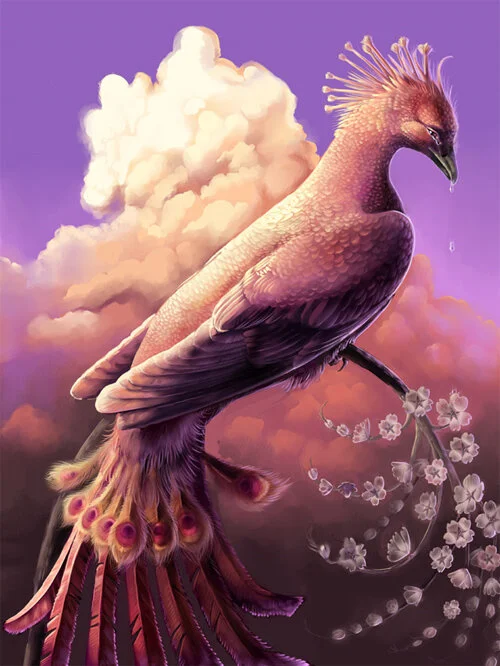 Those Brows and Lashes