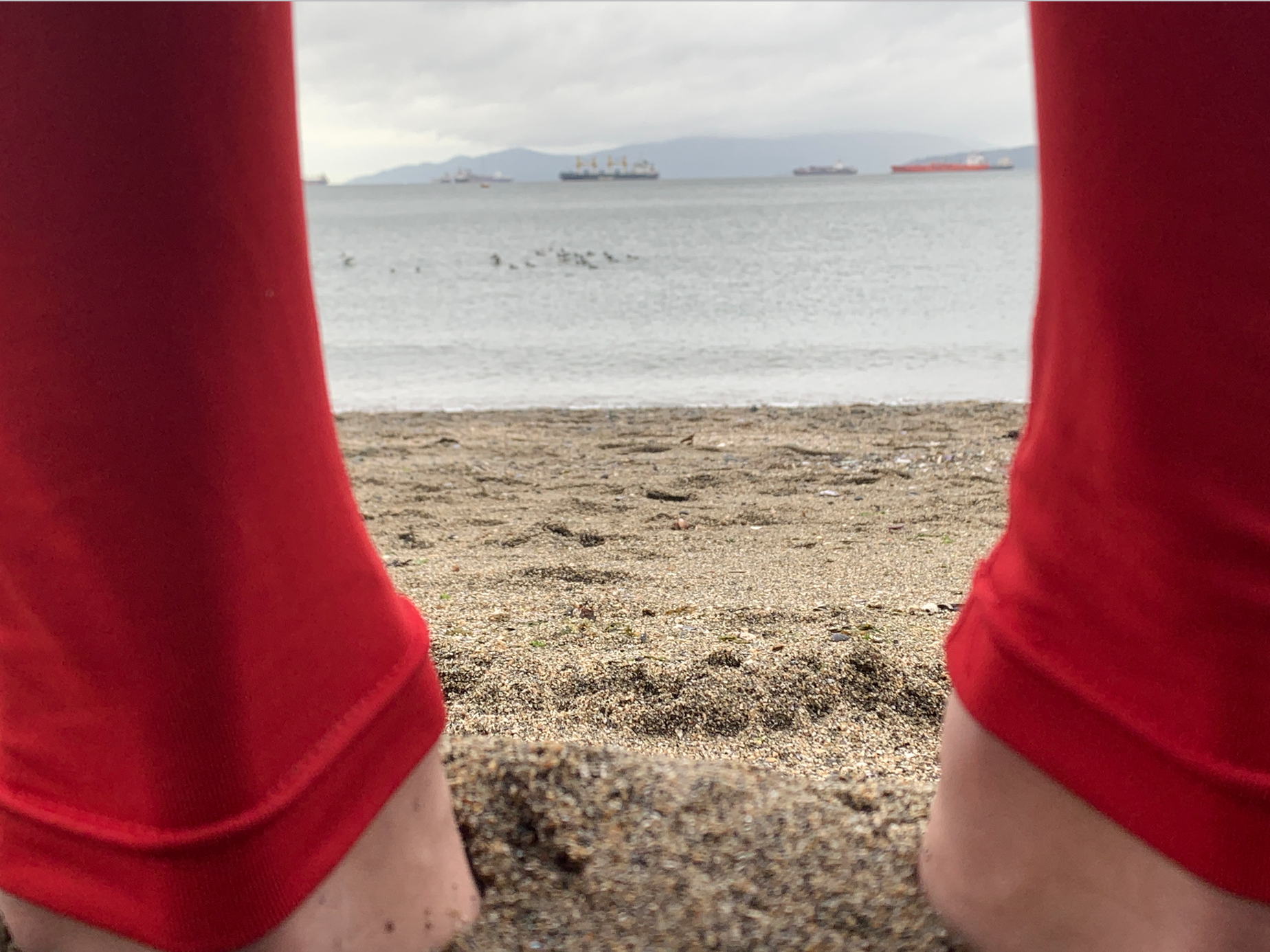 From The Camera Roll