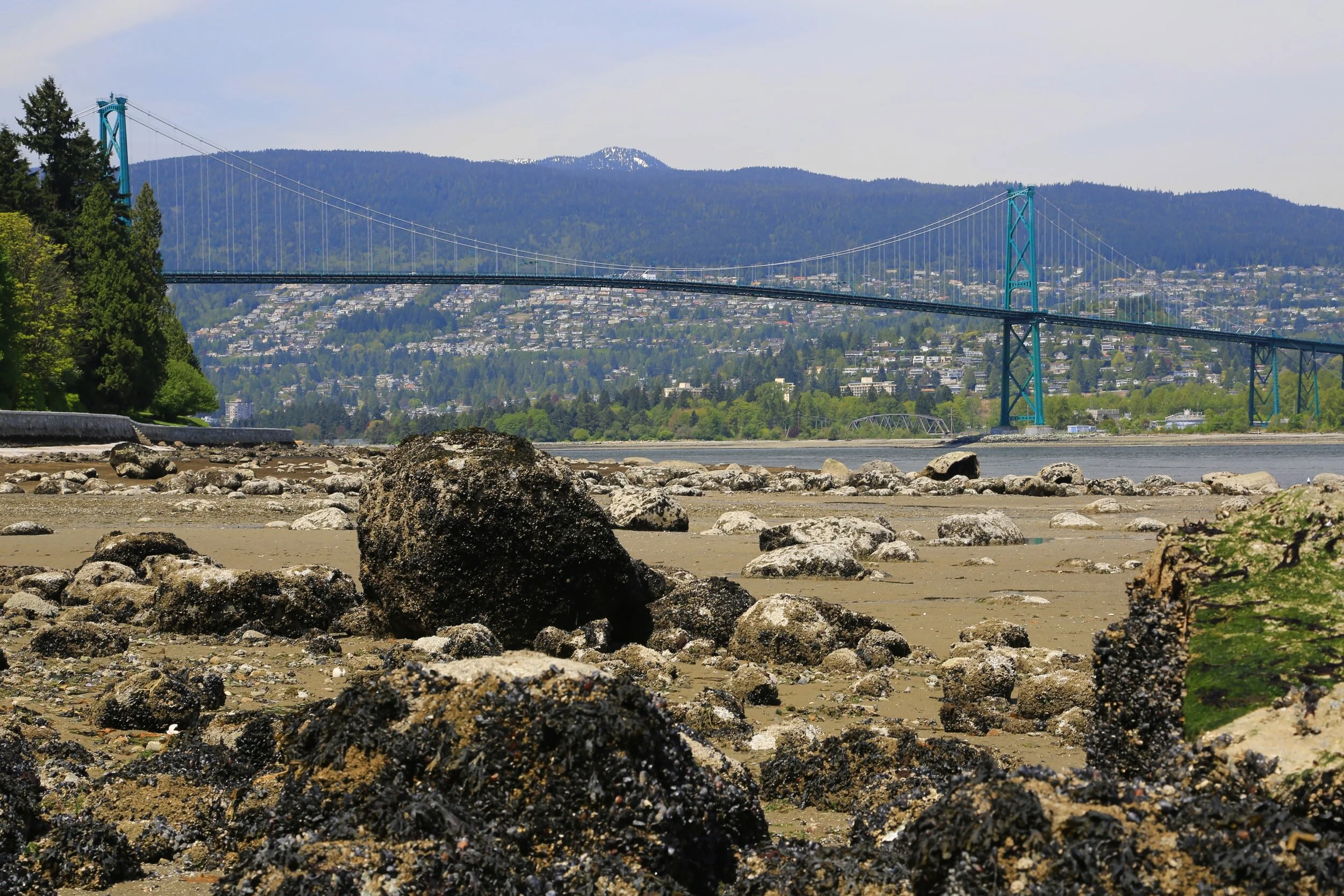 Forenoon Diary Entry #515 