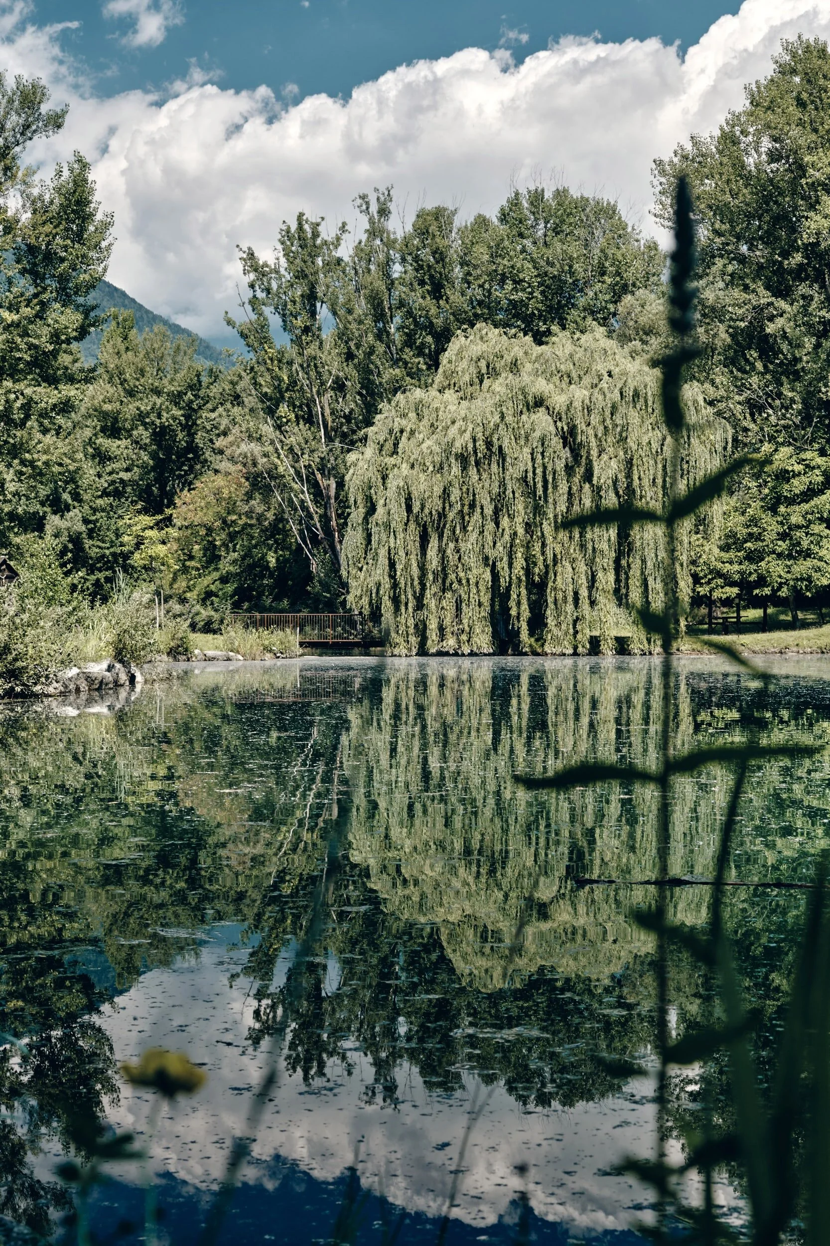 Summer’s Heartbreak Season