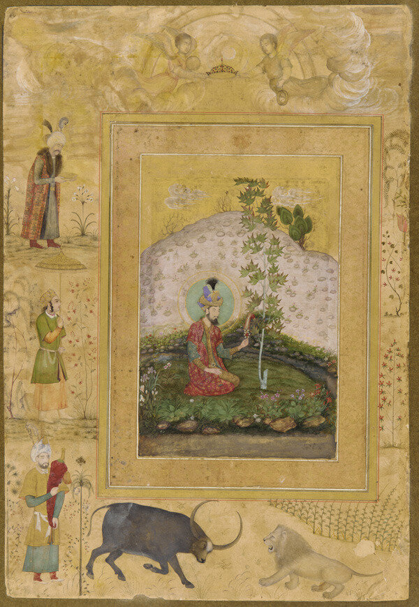 A Branch Of Sidratul Muntaha