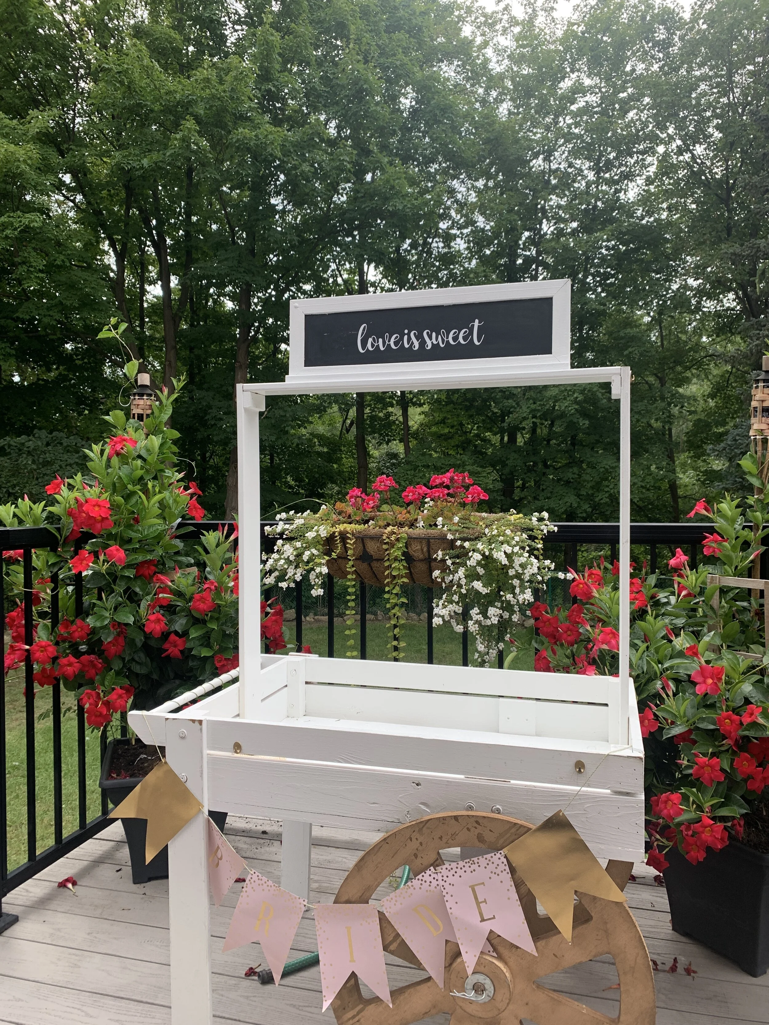 Tonight’s Full Moon