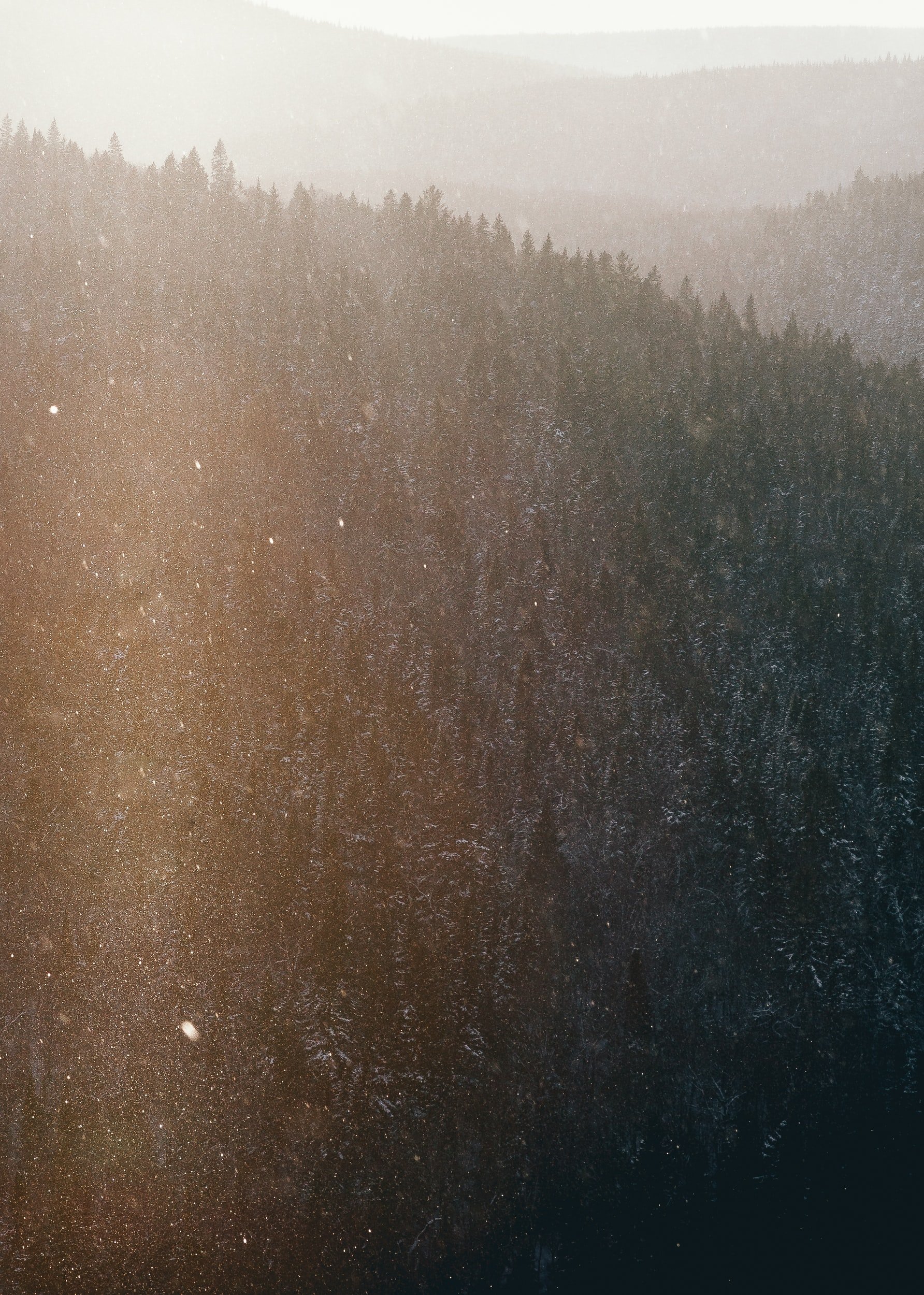 Sweet Silent Thought