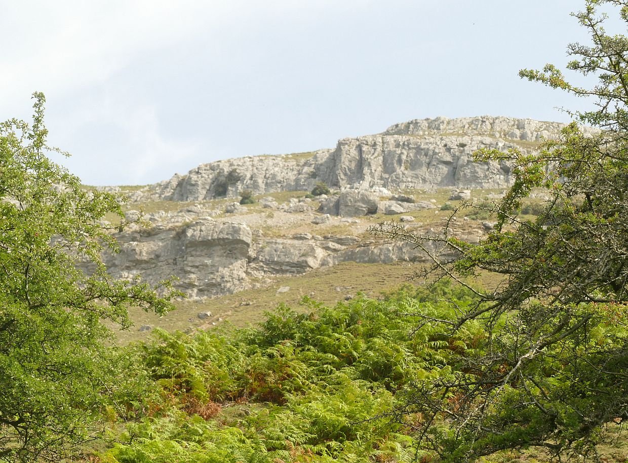 P1270567.JPG