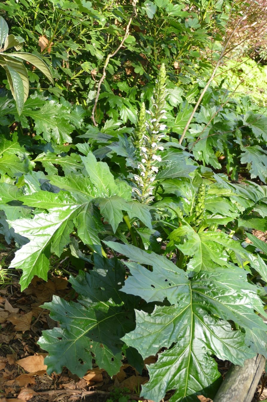 P1430795.JPG