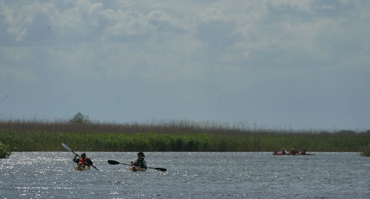 P1880672.JPG