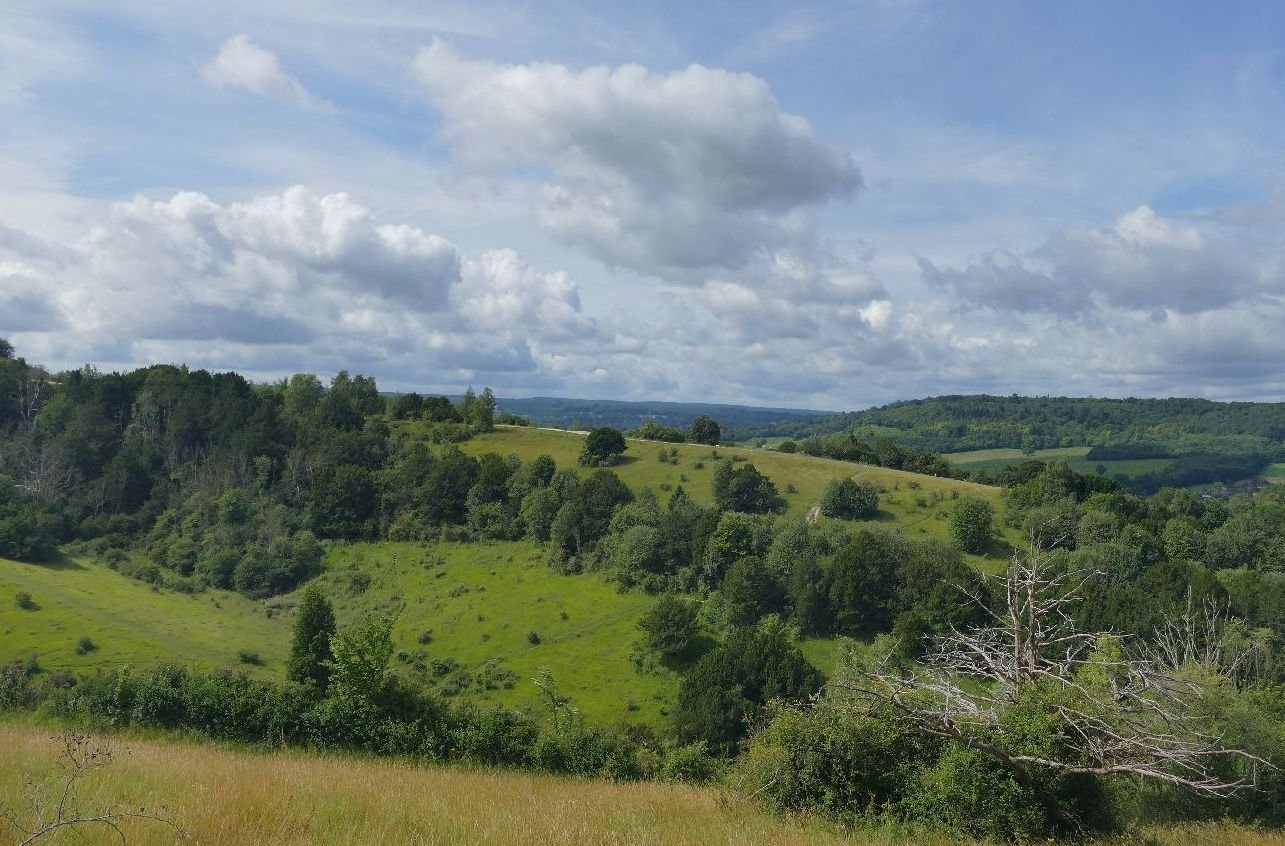 Surrey Hills National Landscape