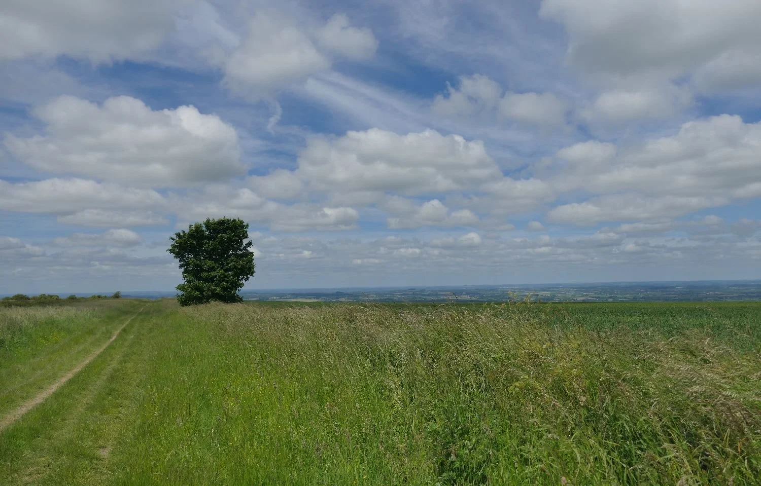 Ridgeway National Trail