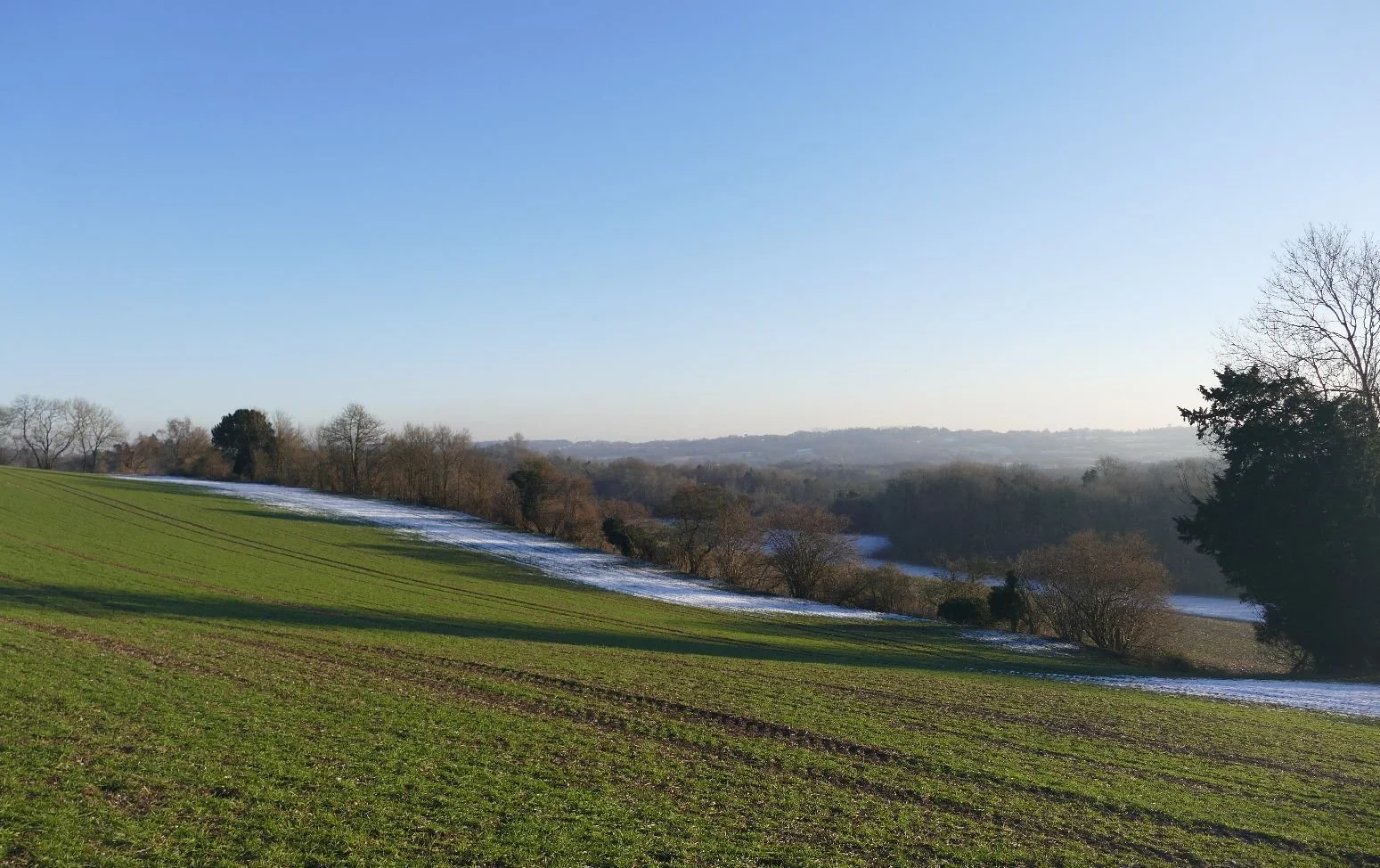 Silver and green: sunset on the North Downs