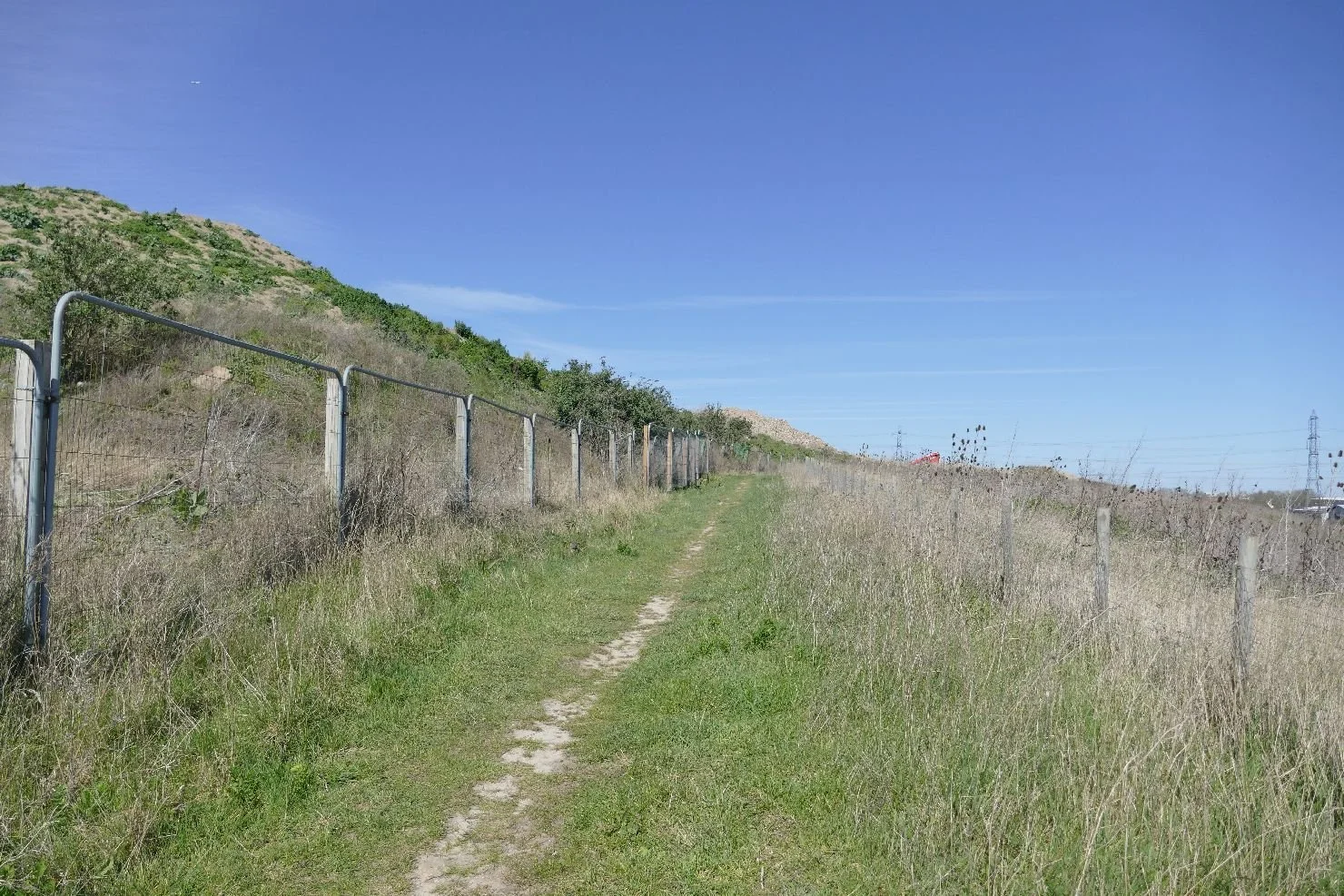Green but fenced corridor 