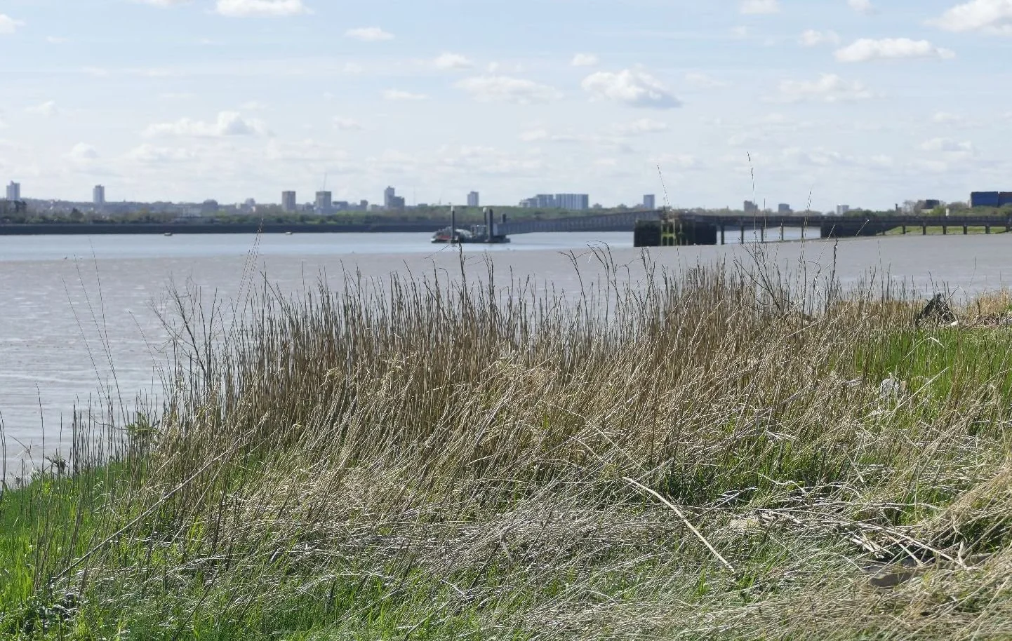 View of the south bank