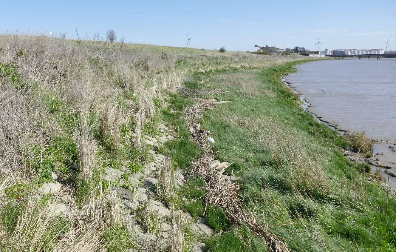 What's happening next door?