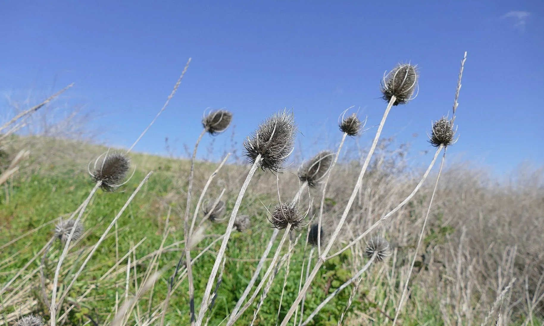 Building Barking Riverside