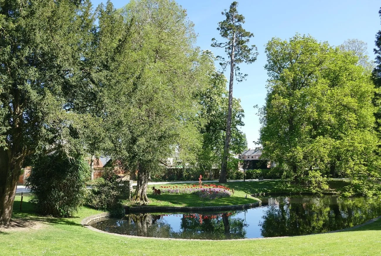 Majestic trees and more water
