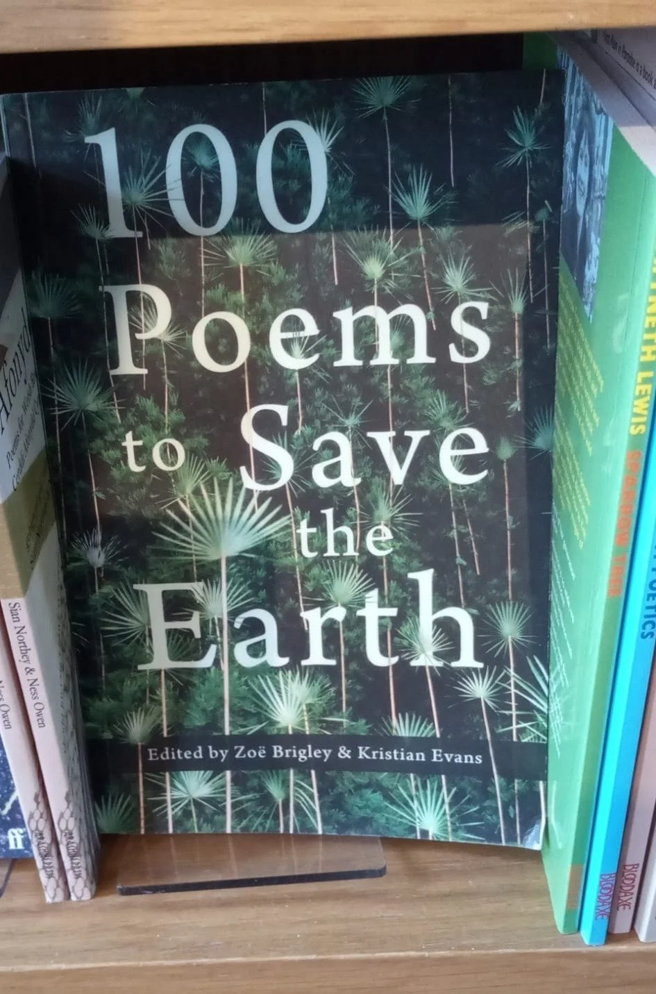 Book B