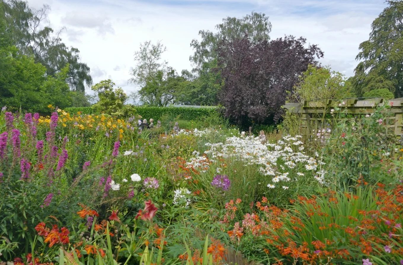 Herbaceous border