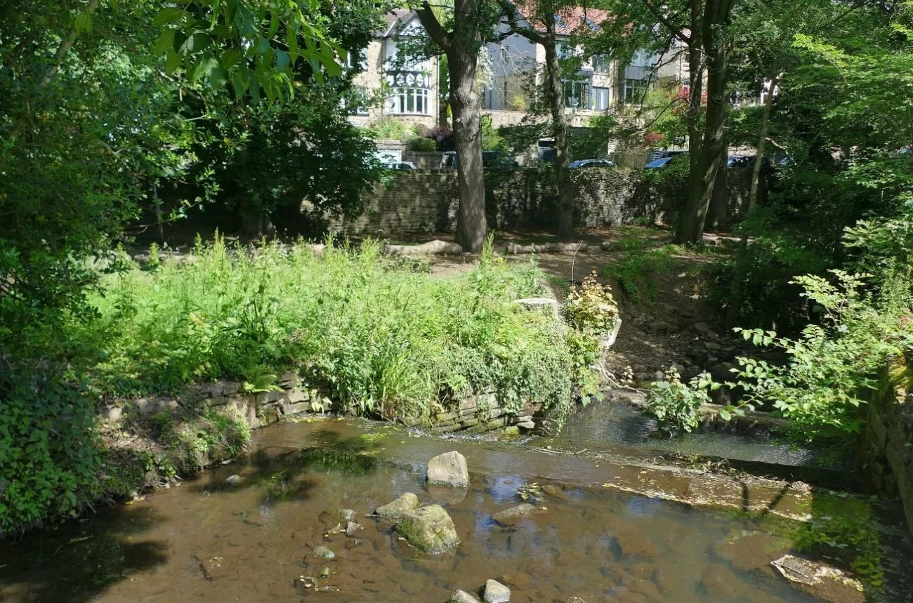 P1990225.JPG