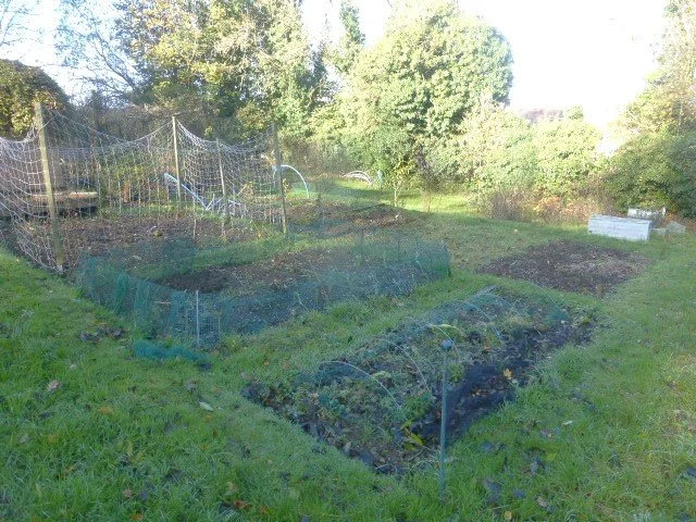 A Time to Plant …