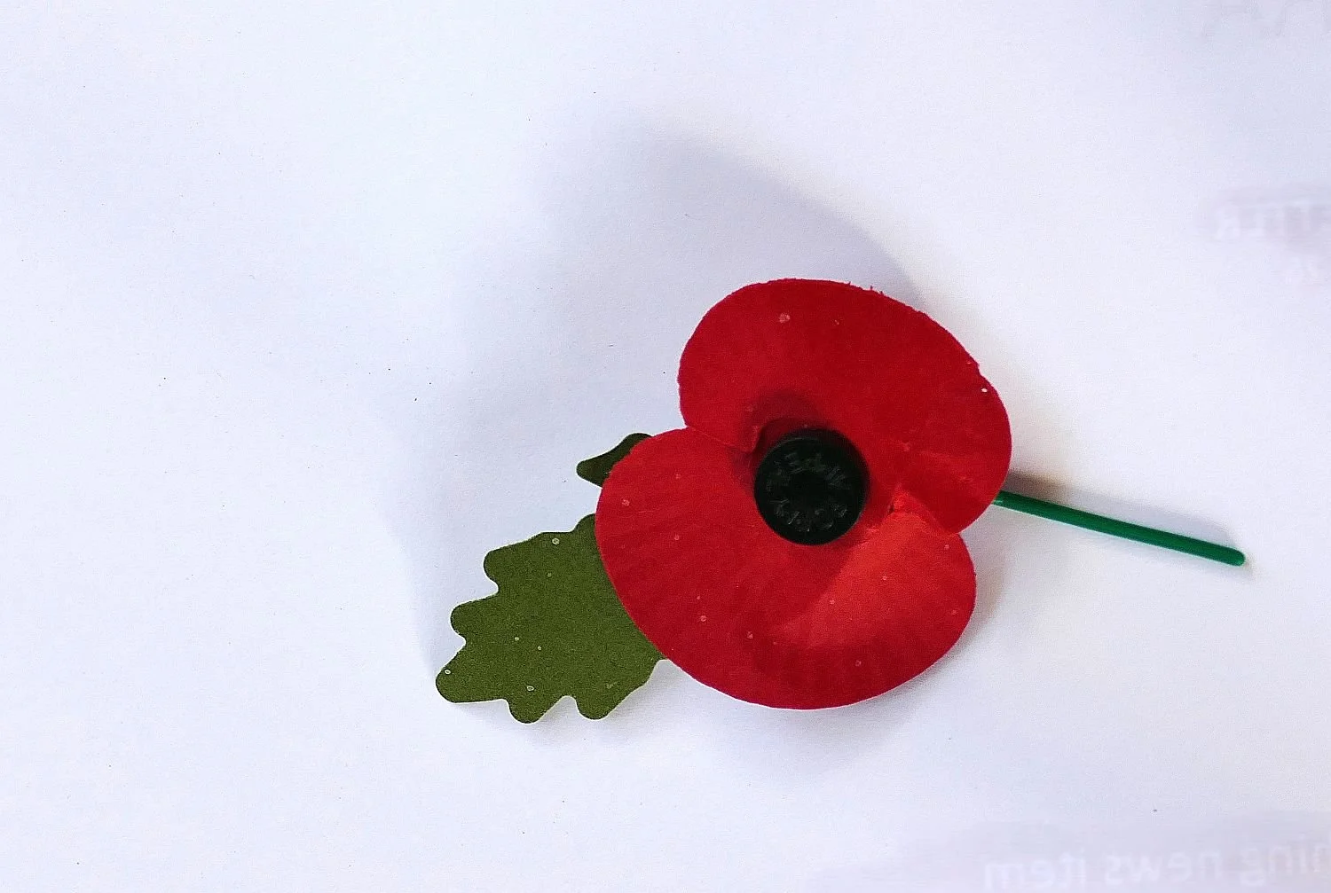 Memorial poppy