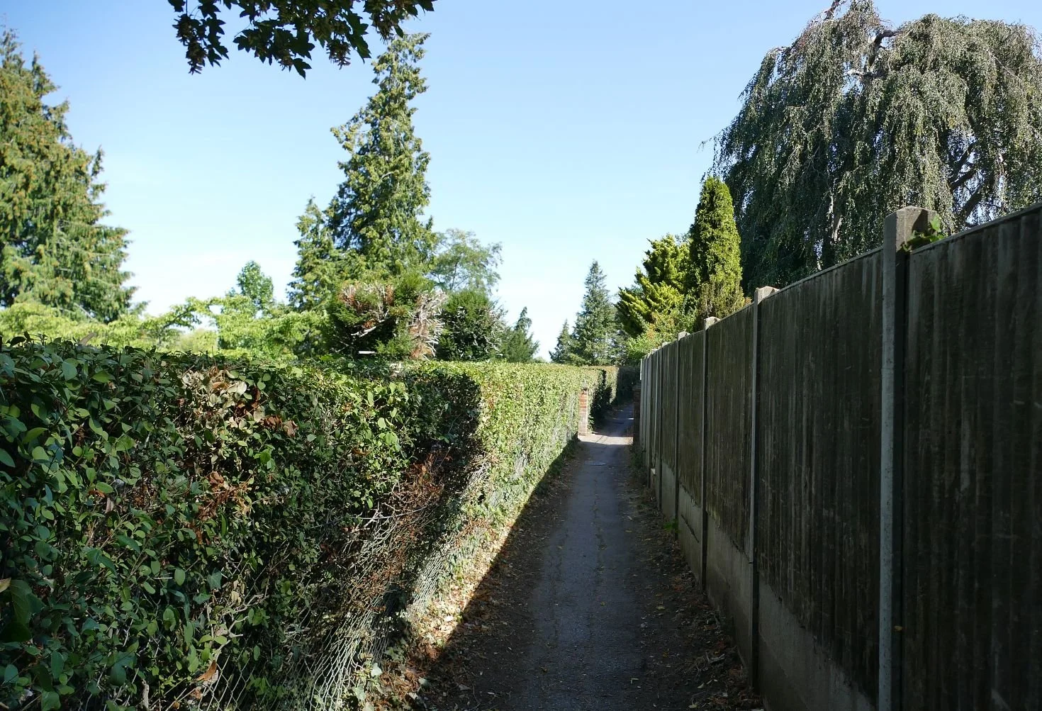 The classic - brick, hedge and close boarded fence ...
