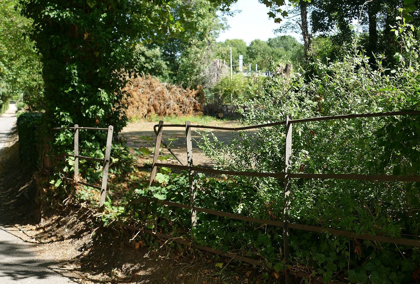 P2000034.JPG