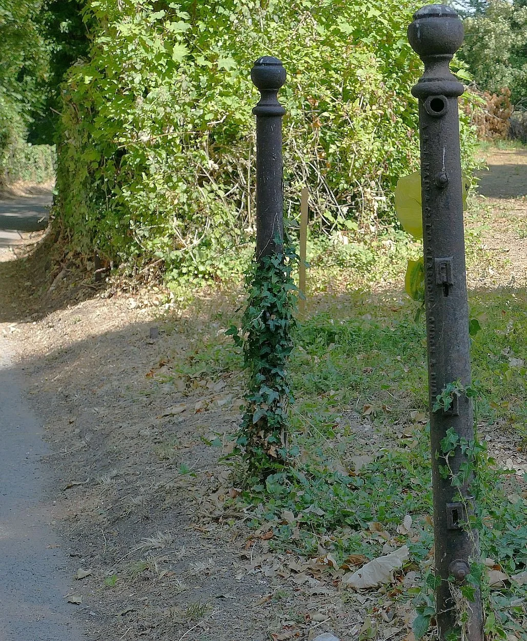 P2000033a.jpg