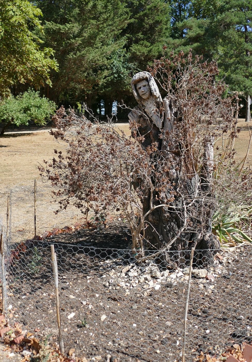 P2000055.JPG