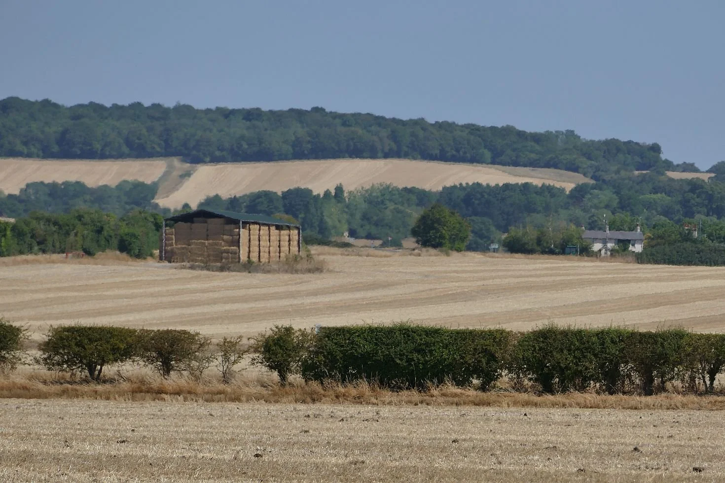 P2000167.JPG