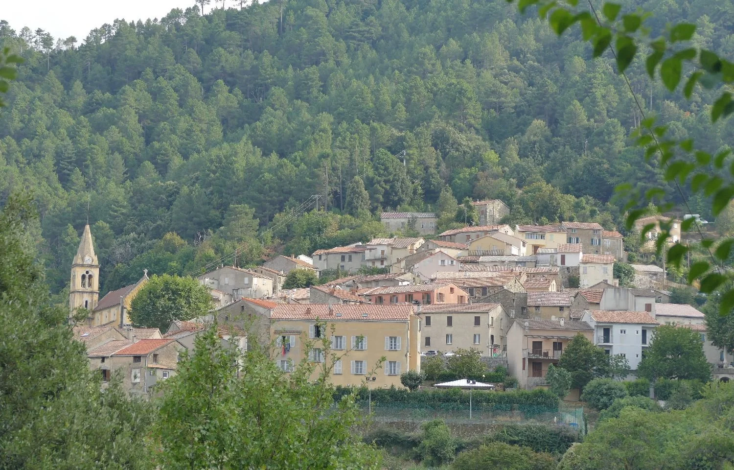 P1650394.JPG