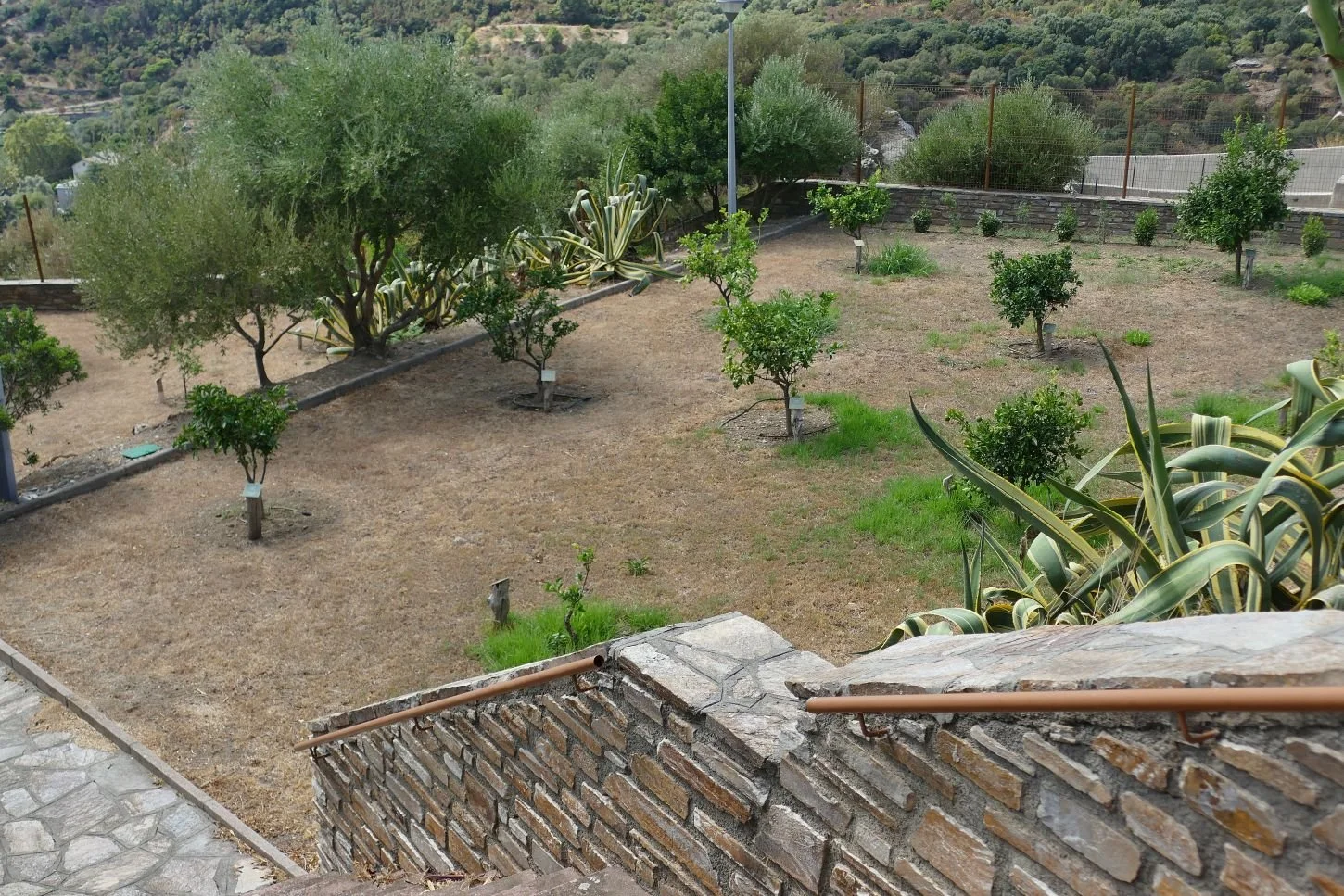P2000623.JPG