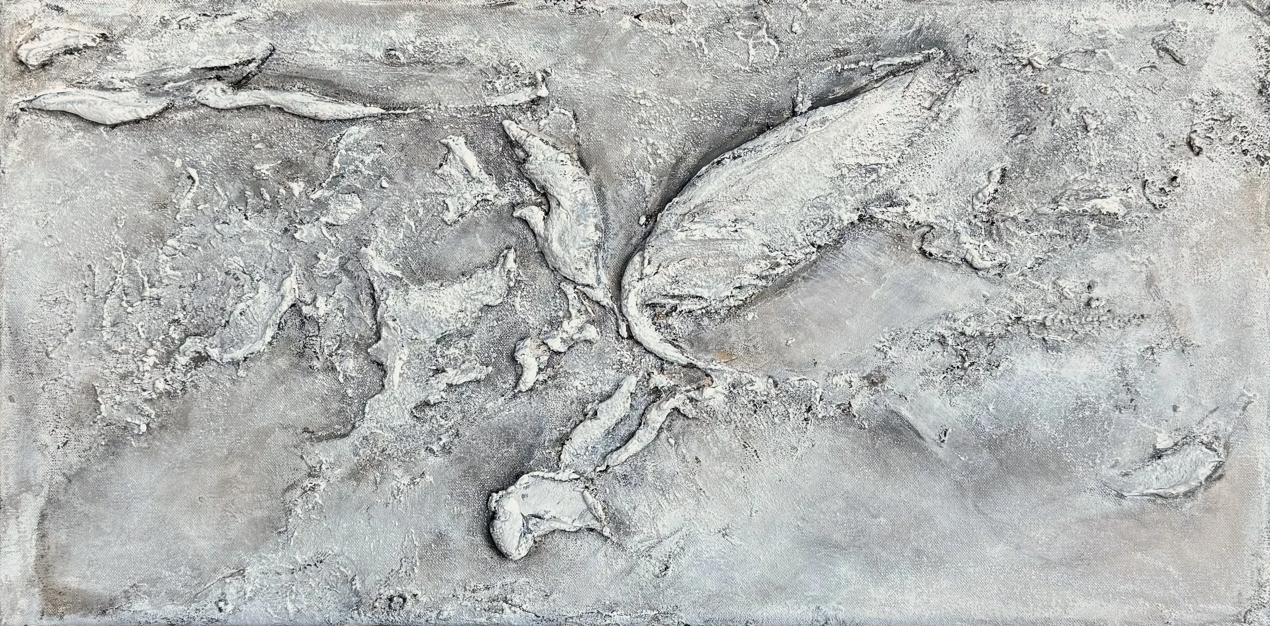 I saw you in my dreams 