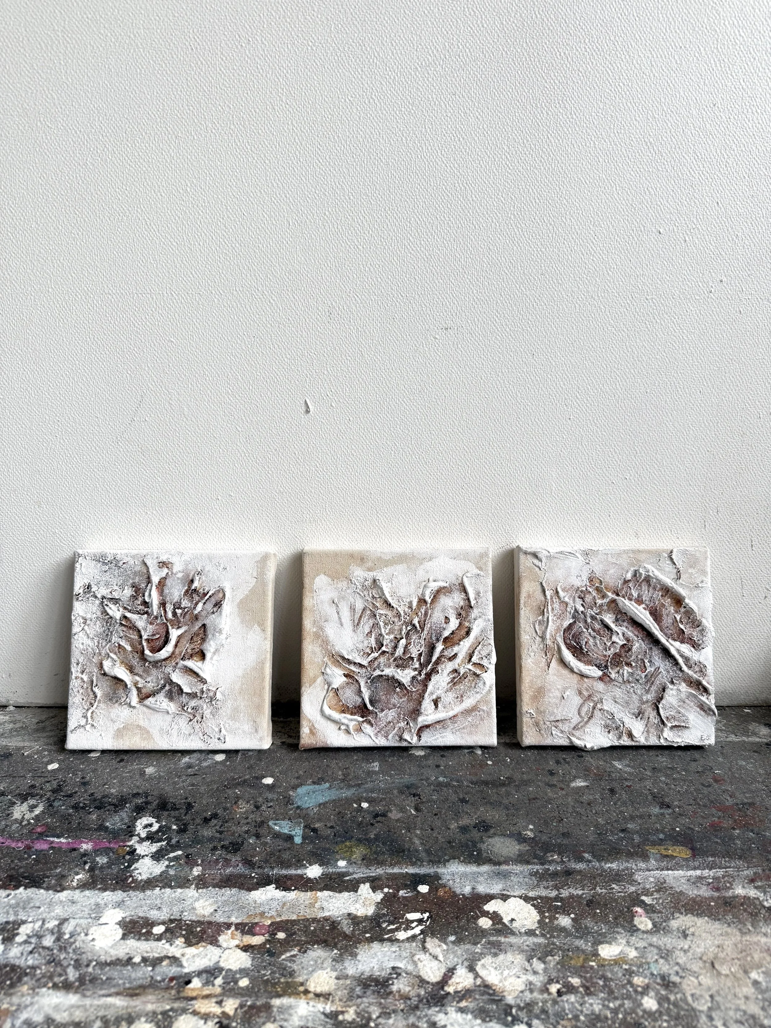 Metamorphosis - beginning, midway, emerging