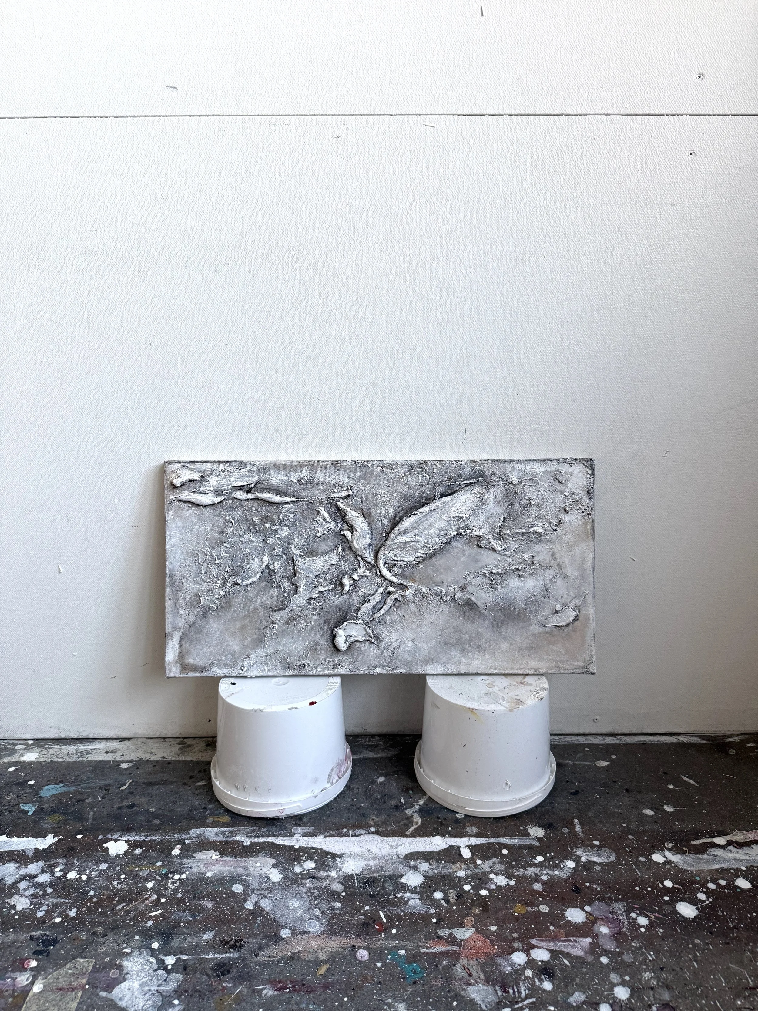 I saw you in my dreams