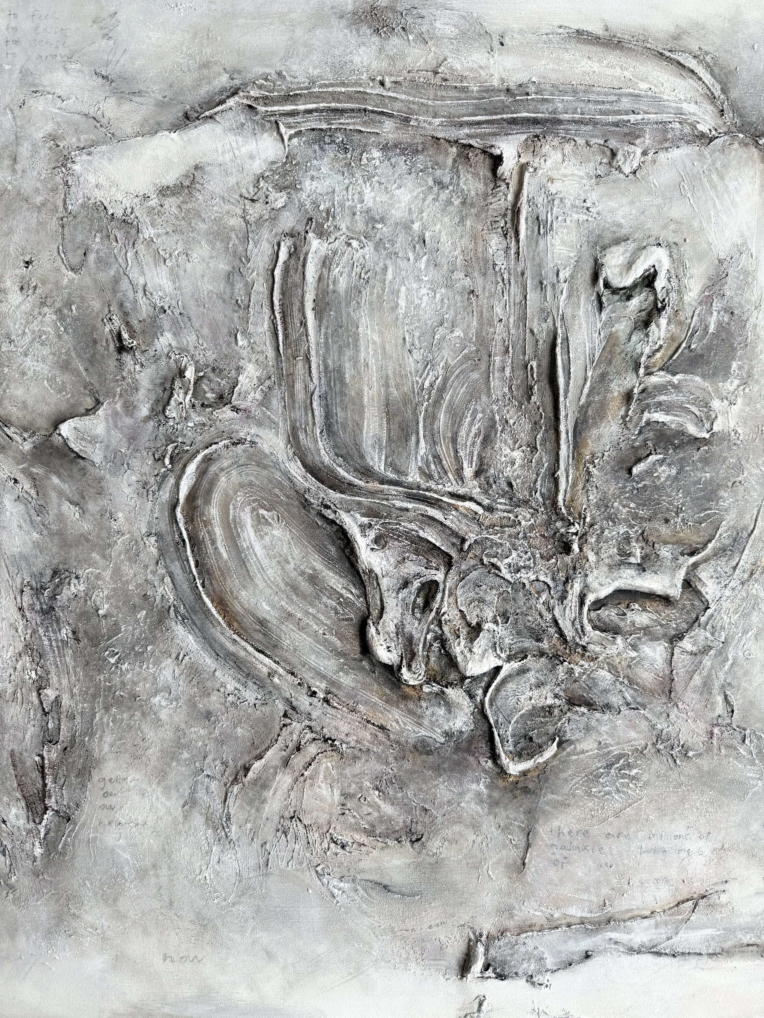 simplicity - detail I Emmi Ohraniemi.jpeg