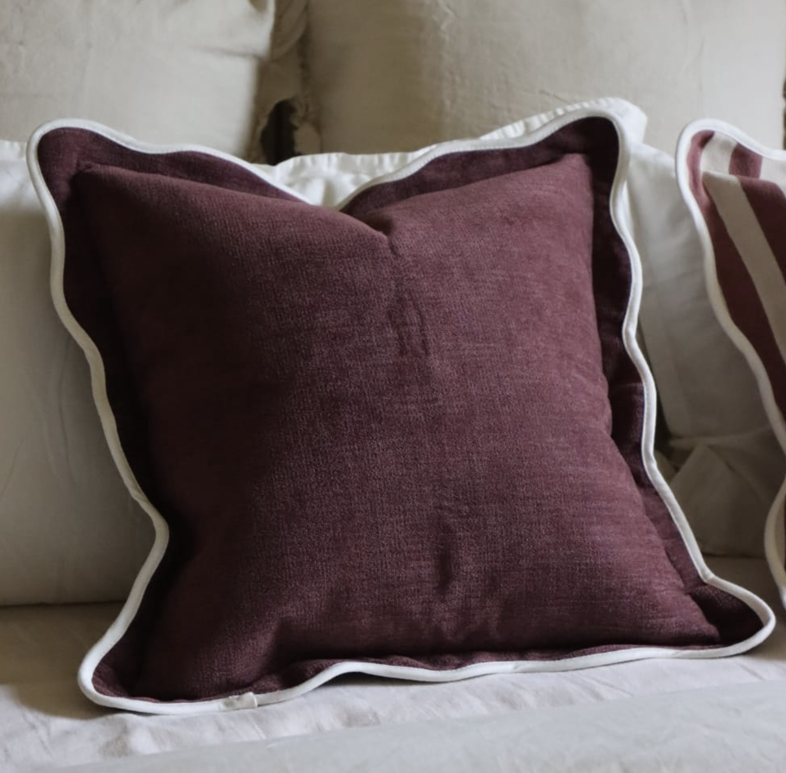 Plum and Damson Colour Trends 2026