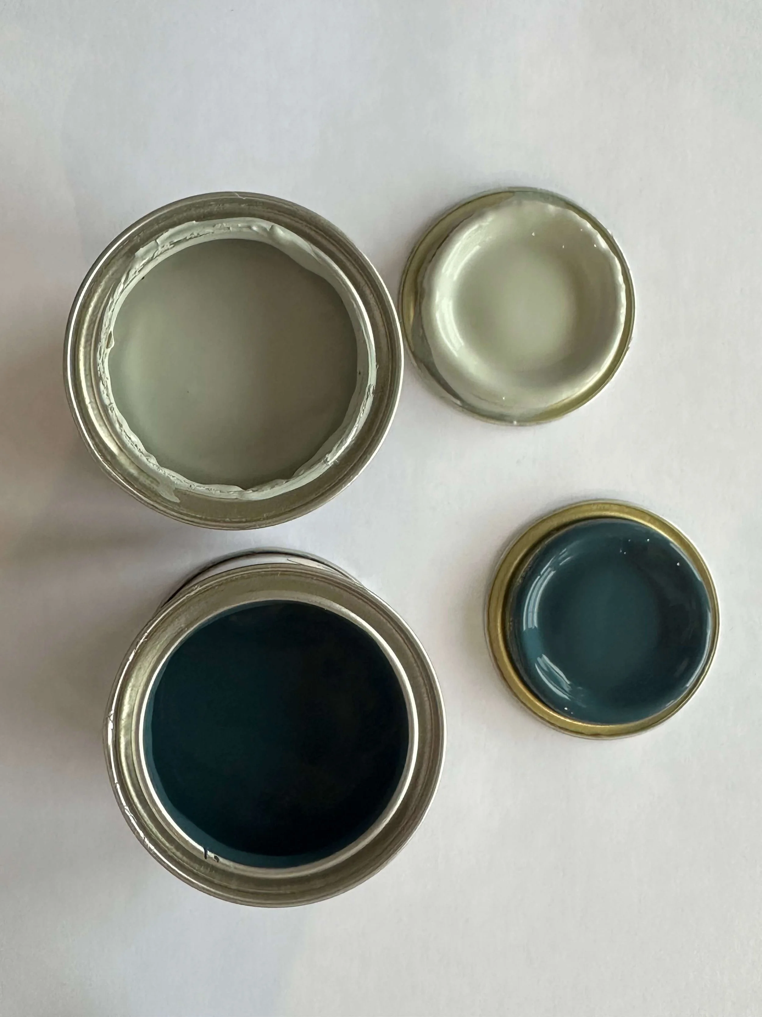 Paint Sample And Swatches