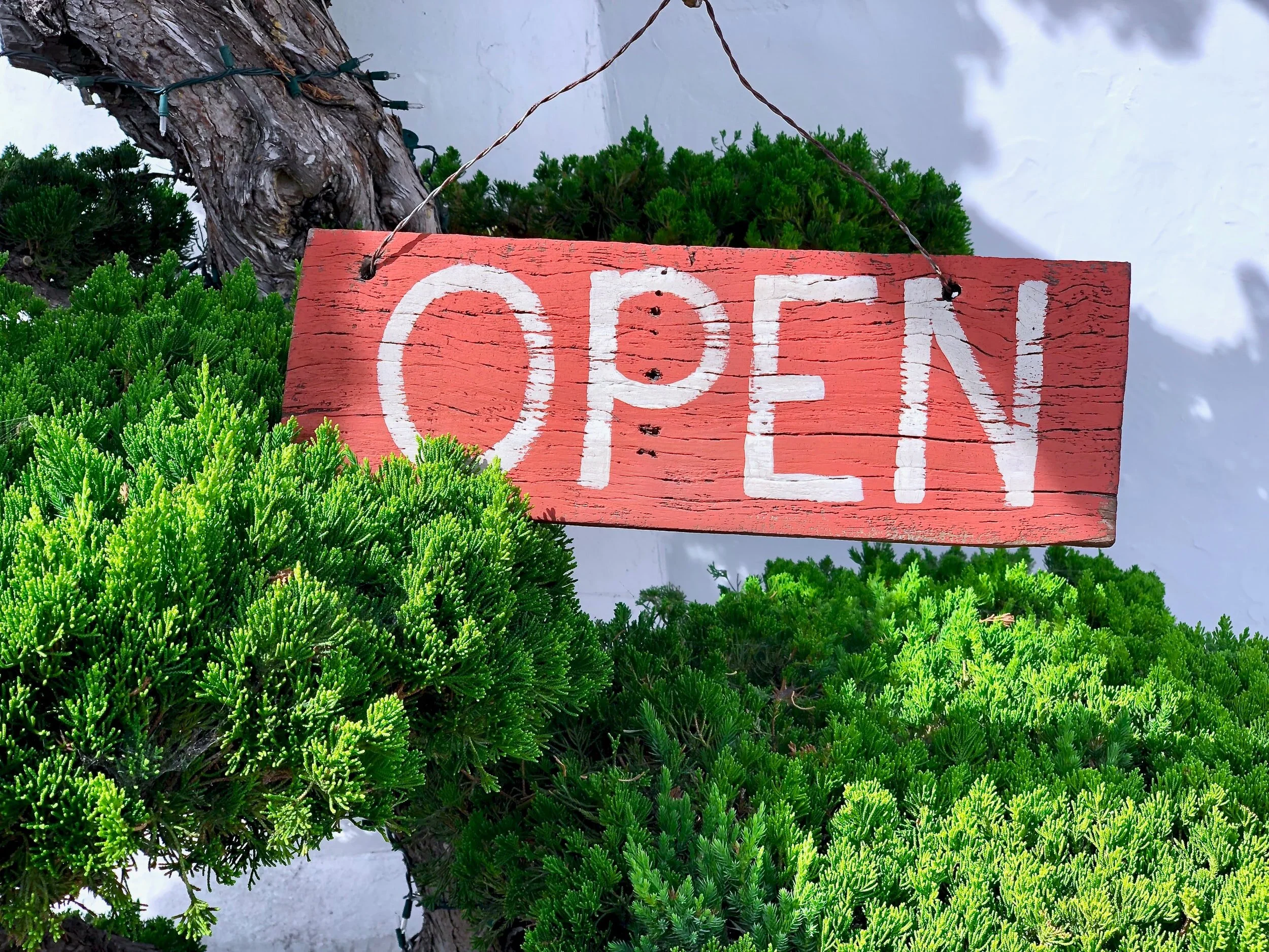 2021 Opening Hours