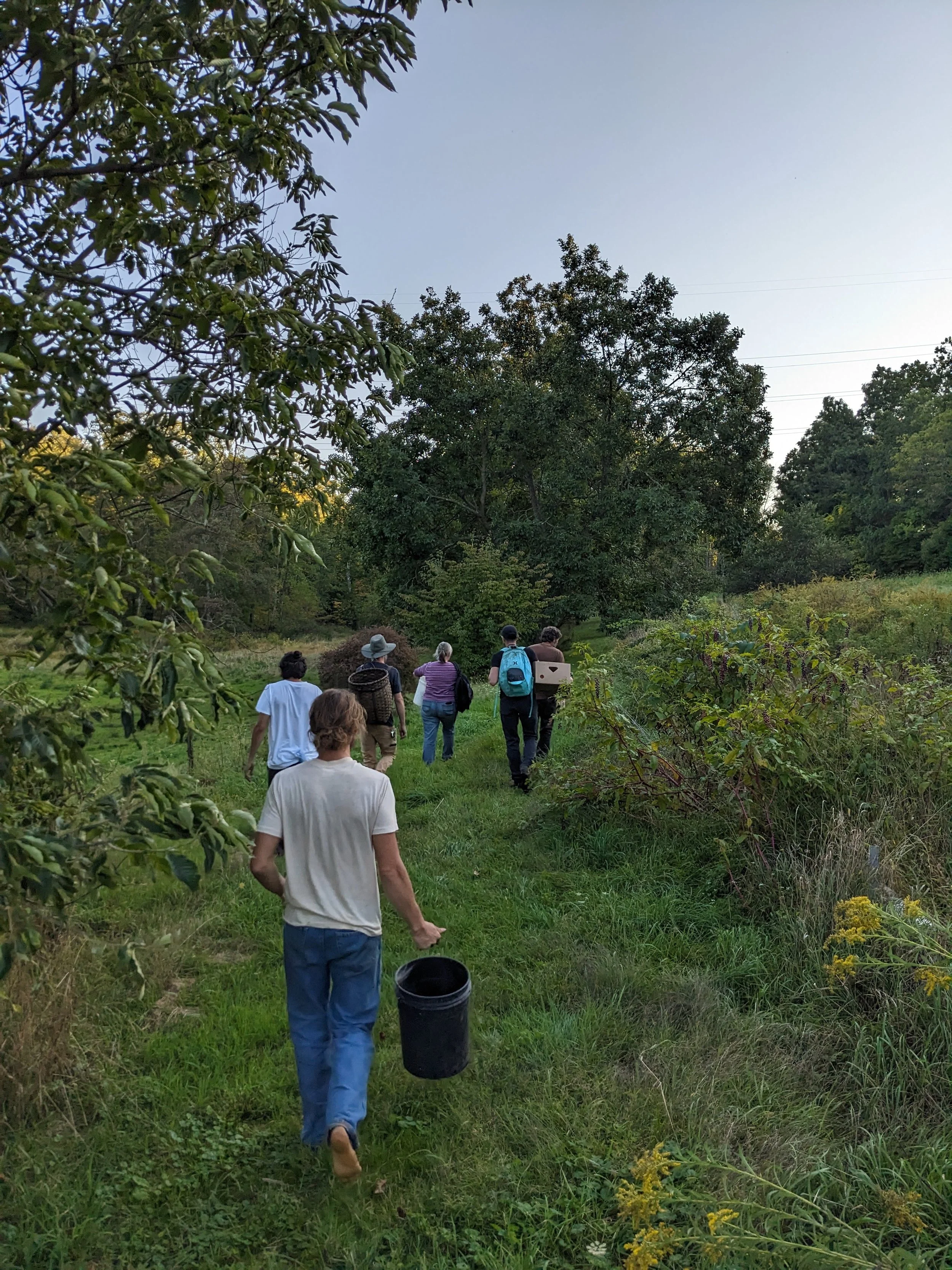 gatherers walking along meadow away from camera