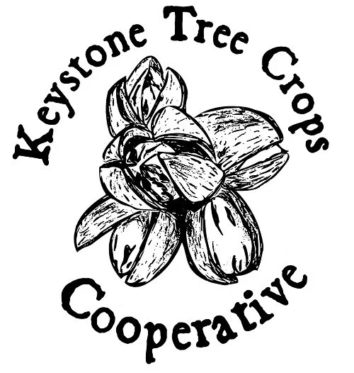 Image of KTCC logo (hickory flower)